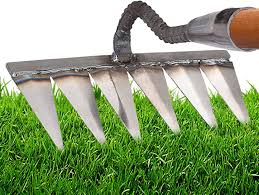 Rastrello per scarificatore disponibile in diverse dimensioni (4/5/6/7 denti)