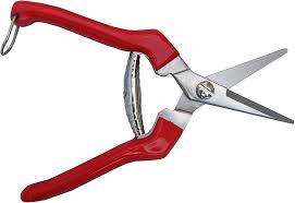 Le forbici Tabor Tools K77E sono ideali per la vendemmia e la potatura. Progettate per garantire un taglio preciso e pulito