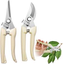 Le forbici da potatura SilverChry sono un set di due utensili da giardinaggio progettati per offrire precisione e facilità d'uso. Realizzate con materiali di alta qualità