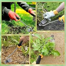 Il DTXYBC Sarchiatore Manuale da Giardinaggio è uno strumento progettato per la rimozione delle erbacce e la lavorazione del terreno. Questo attrezzo è realizzato con materiali di alta qualità per garantire durabilità e resistenza. La sua impugnatura ergonomica offre comfort durante l'uso